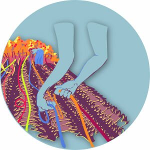 Buscando la mejor solución