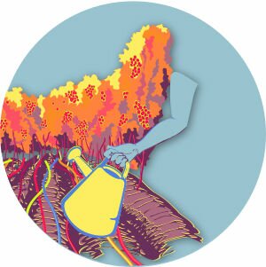 Planeando con anticipación